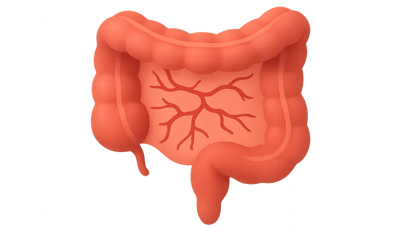Vascular disorders of bowel