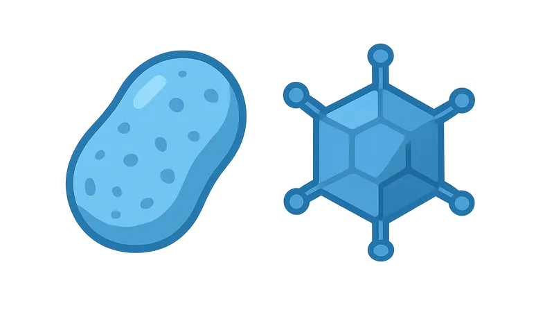 DNA Viruses: Poxviruses and Adenoviruses