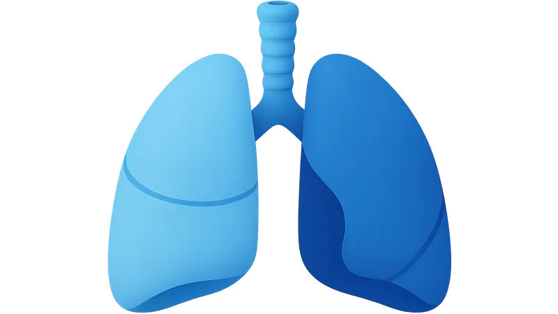 Static vs dynamic compliance