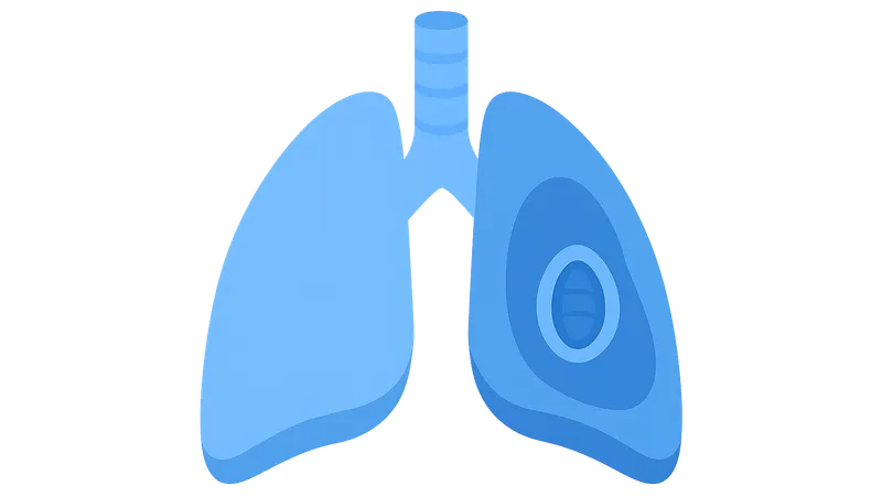Obstructive Airway Diseases (Asthma, COPD)