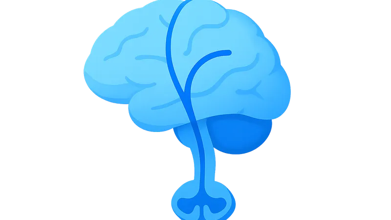 Origin and course of anterior corticospinal tract