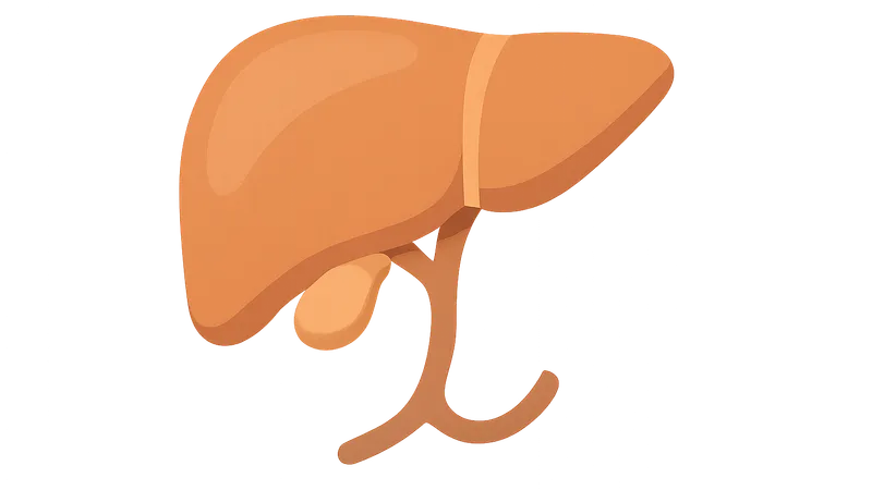 Hepatobiliary surgery basics