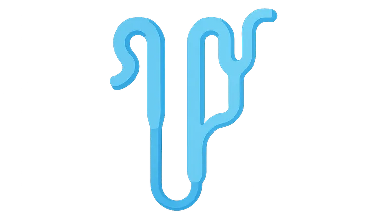 Loop of Henle function