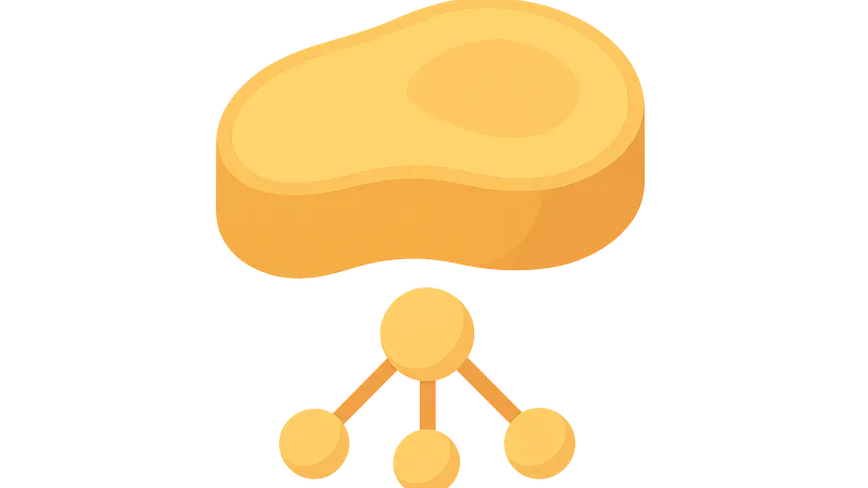 Protein Quality and Nitrogen Balance