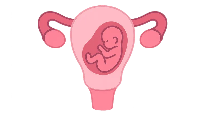 Prior preterm birth management