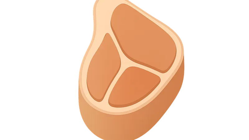 Lower limb fascial compartments