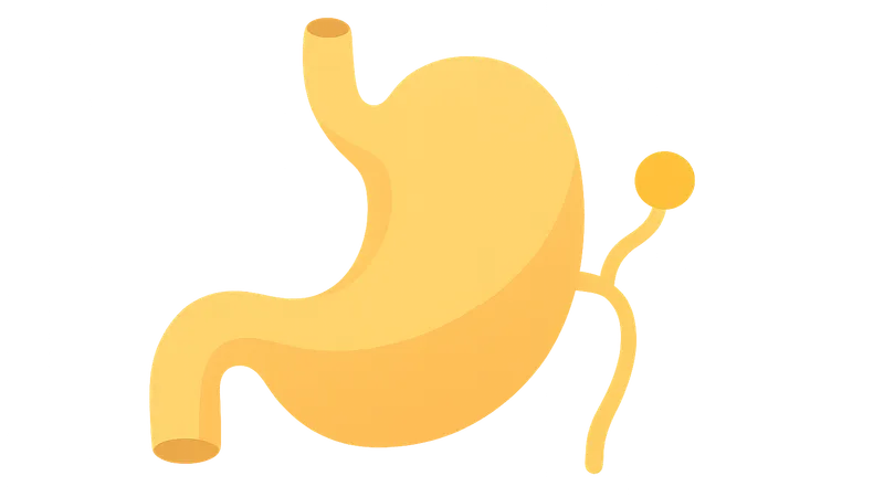 Gastric secretion regulation