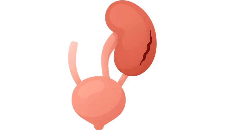 Genitourinary Trauma