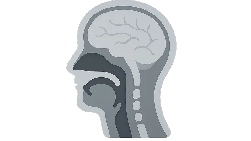 Head and neck cross-sections
