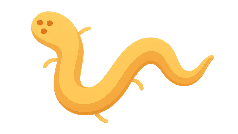 Parasitic Infections