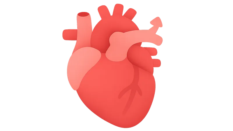 Cardiac Output and Its Regulation