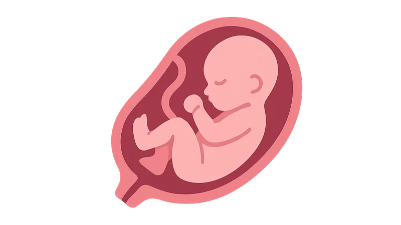 Fetal Growth Assessment