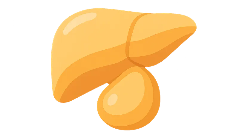 Ascites diagnosis and management