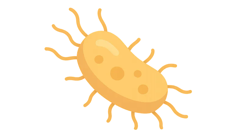 Bacterial Physiology and Metabolism