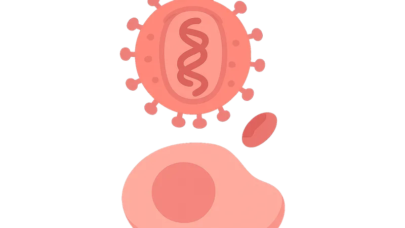 HIV structure and replication cycle