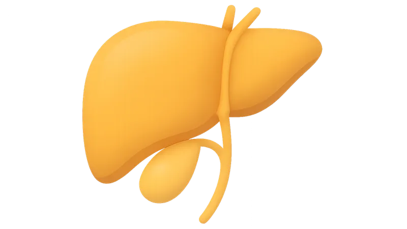 Hepatobiliary Physiology