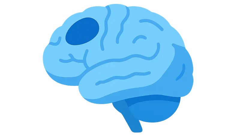 Functional Correlations in Clinical Practice
