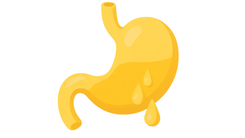 Gastrointestinal Secretions