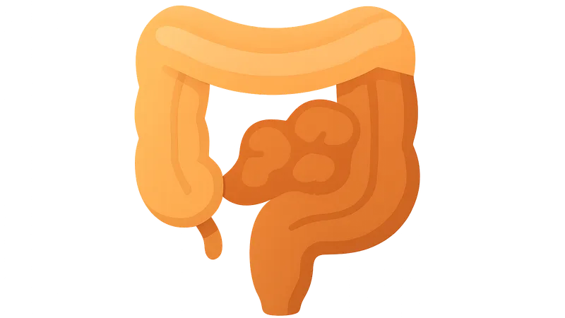 Diagnostic approach to IBD