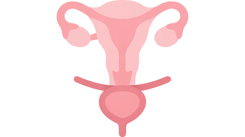 Stress urinary incontinence procedures