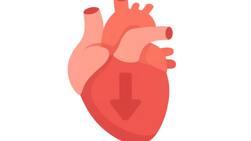 Systolic function assessment
