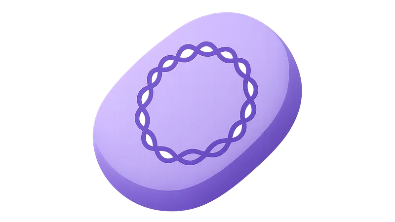 Bacterial Genome Organization