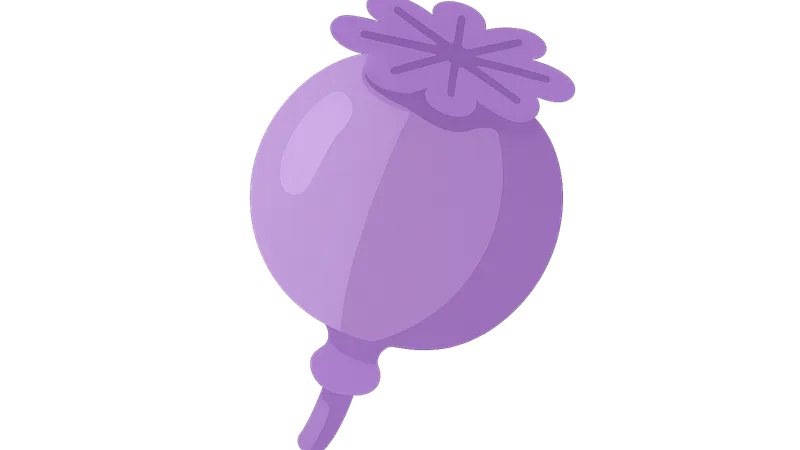 Pain management at end of life