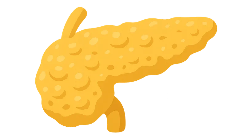 Chronic Pancreatitis