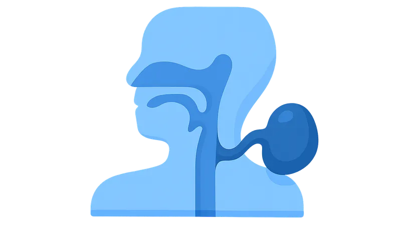 Congenital anomalies of pharyngeal arch derivatives