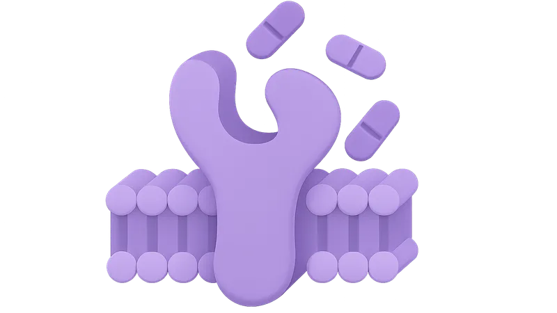 P-glycoprotein interactions