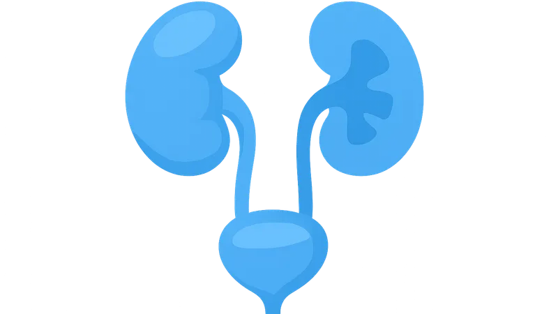 Obstructive uropathies