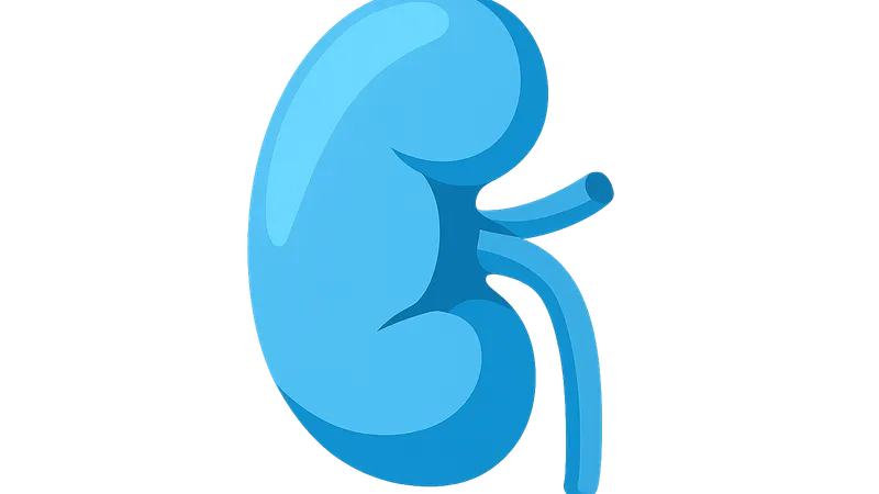 Renal Regulation of Acid-Base Balance