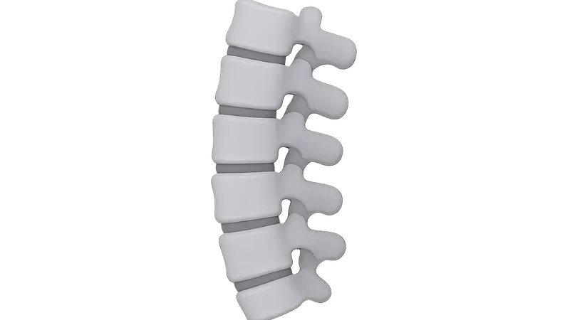 Spinal radiologic landmarks