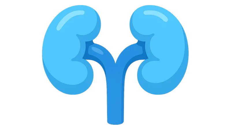 Congenital Anomalies of the Kidney