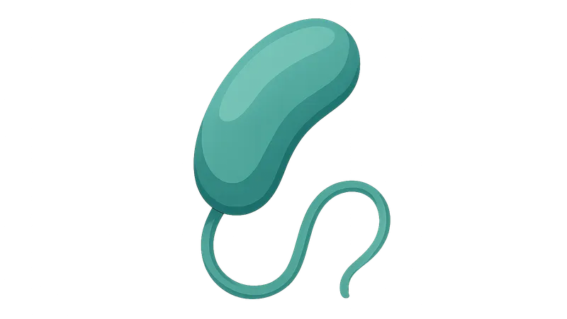 Vibrio species