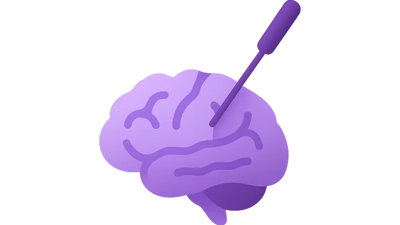 Neurosurgical Approaches