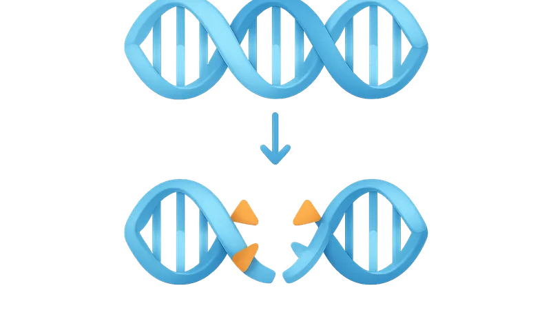 Double-strand break repair