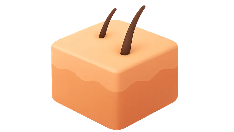 Systems-based Practice