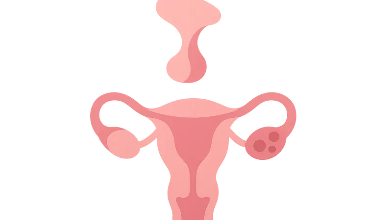 Hypothalamic-Pituitary-Ovarian Axis