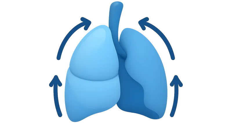 Elastic recoil of lung tissue