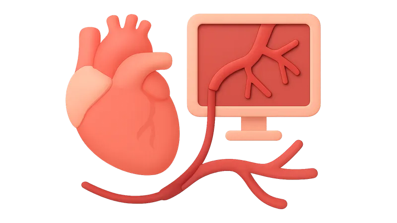 Angiography techniques