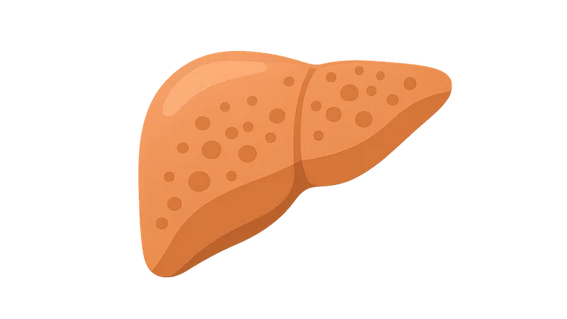 Liver pathology (hepatitis, cirrhosis)