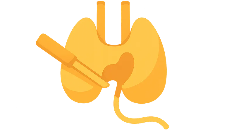 Recurrent laryngeal nerve protection