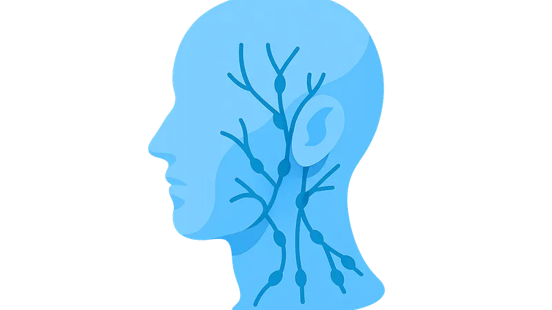 Head and neck lymphatics