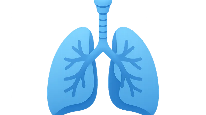 Respiratory system overview