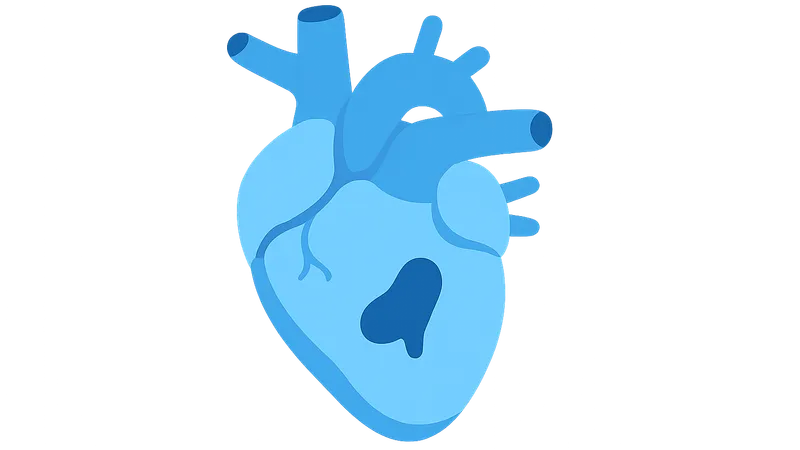 Congenital Malformations
