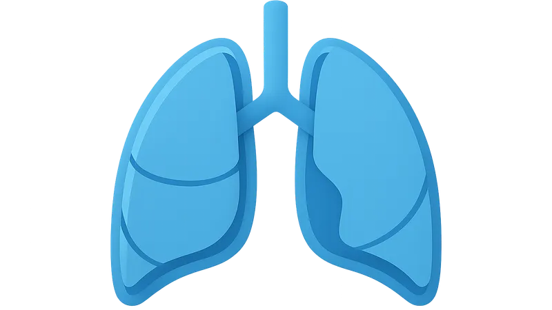 Pleura and lungs