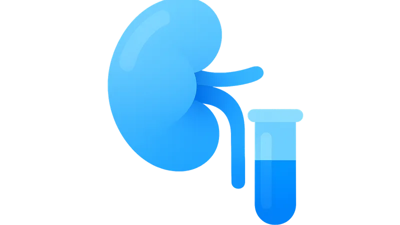 Renal Function Tests