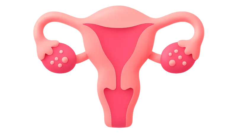 Reproductive system overview