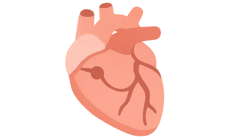 Basic electrophysiology